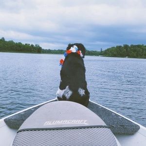 Meet your Posher, Jannette